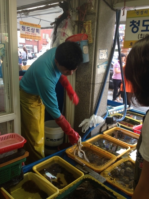 삼삼초장집 이미지