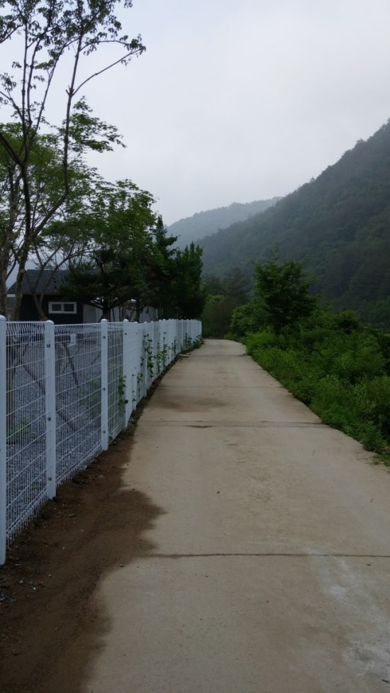 법흥 캠핑장 이미지