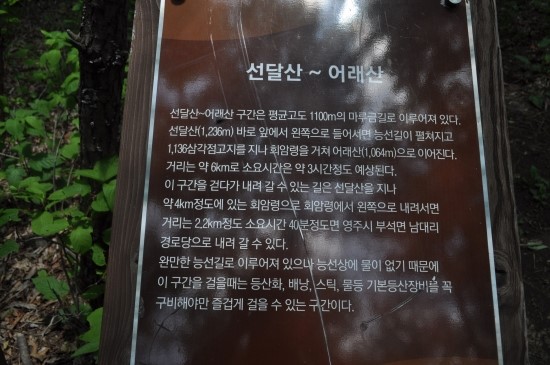 선달산캠핑장 이미지