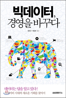 데이타빅 이미지