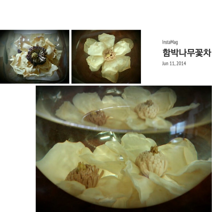 순수꽃차 이미지