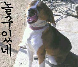 국시랑김밥이랑 이미지
