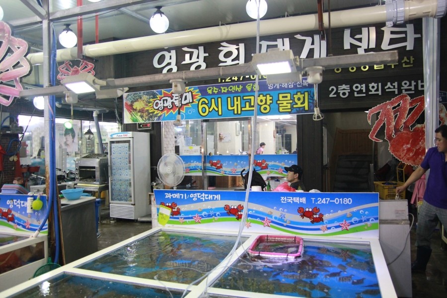 영광회센타 이미지