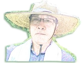 사랑해요영덕와송 이미지