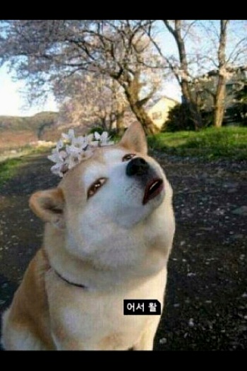 송가네푸드 이미지