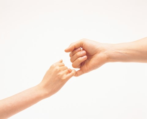 보람카네기 이미지