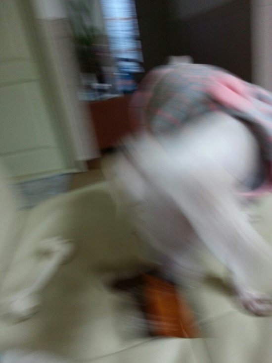 퍼니과자 이미지