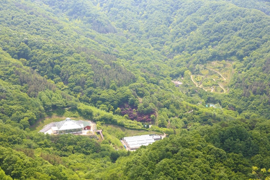 수목 비교 관찰원 이미지