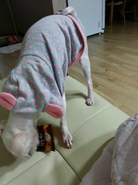 퍼니과자 이미지