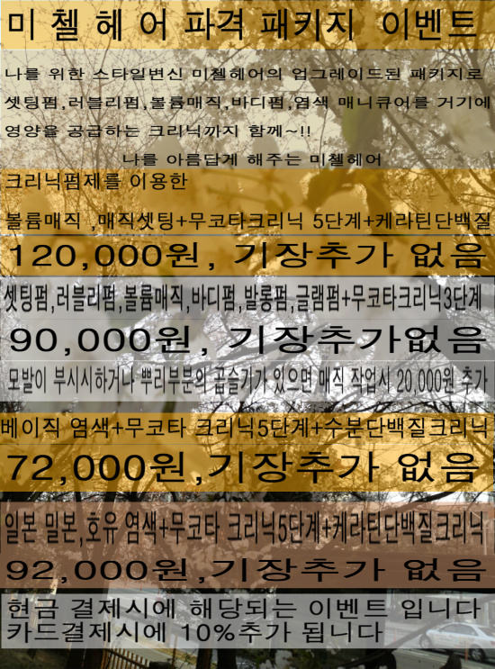 미첼헤어 이미지