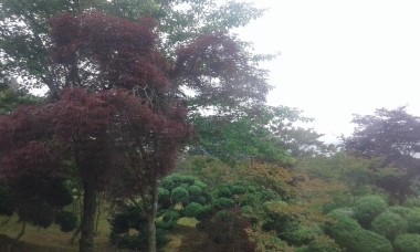 풍천주유소 이미지