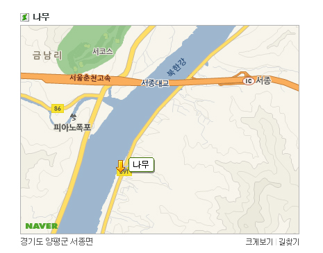 카페나무 이미지