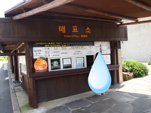 다담다원 이미지