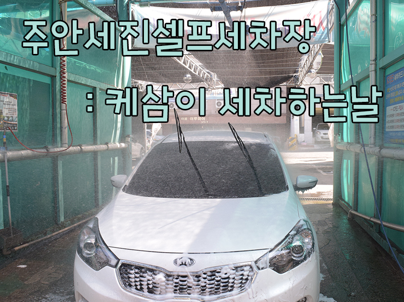 세진셀프세차장 이미지