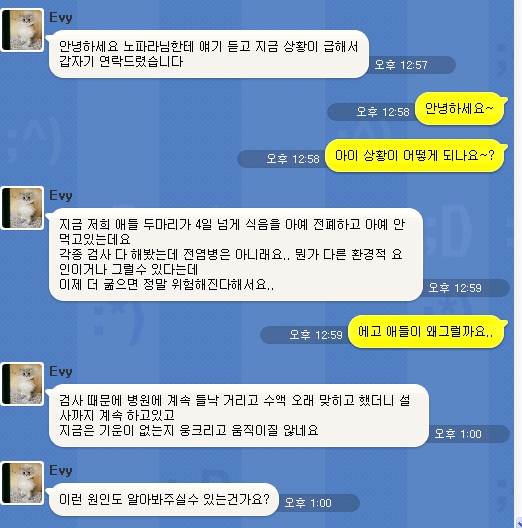냥이커뮤니케이션 이미지