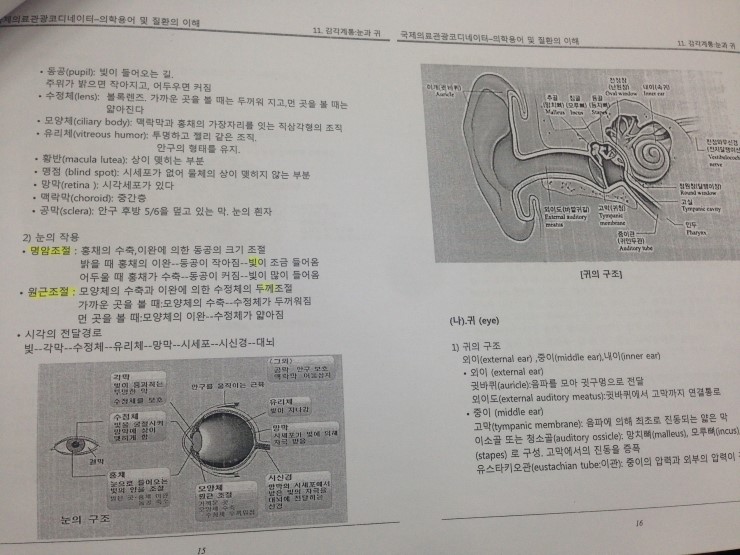 국제의료교육관광 이미지