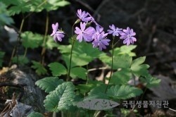 미소팜 이미지