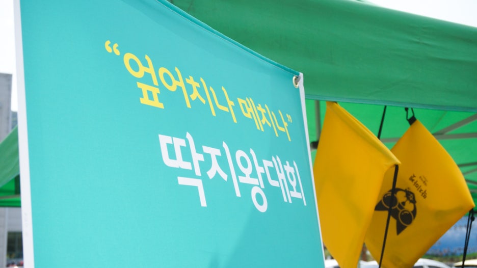 대풍이네 이미지