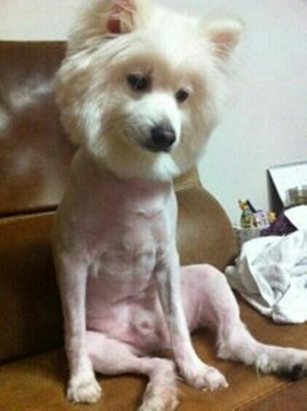 지금 이미지