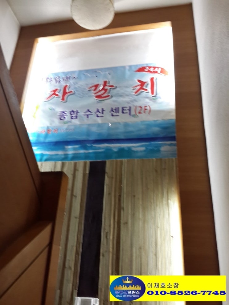 사라있네 이미지