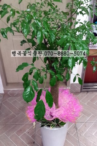 김해농약종묘사 이미지