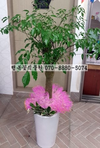 김해농약종묘사 이미지