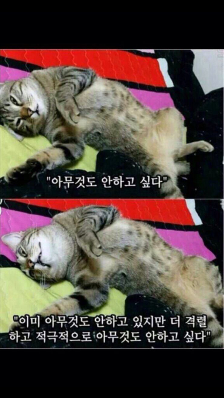 루루랄라 이미지