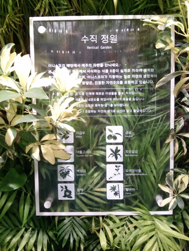 이니스프리건대 이미지