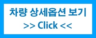 더웰렌터카 이미지