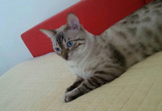 누리커뮤니케이션 이미지