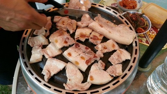 파티마당 이미지