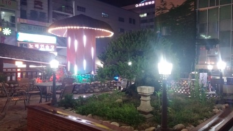 신토오리 이미지