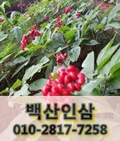 열매영농조합법인 이미지