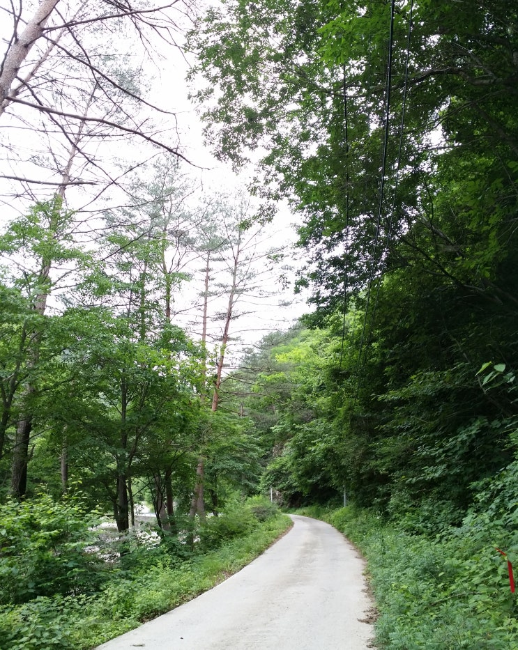 고향펜션캠핑 이미지
