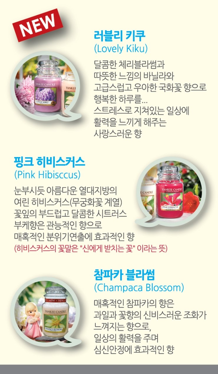 양키캔들 이미지