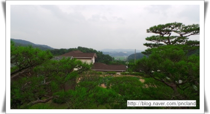 푸른솔조경 이미지