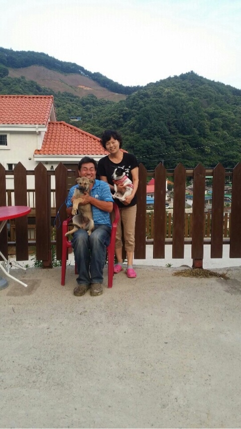 지리산녹차별펜션 이미지