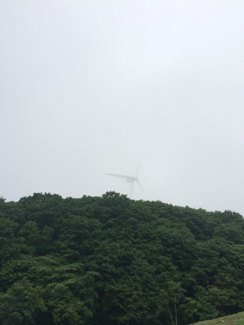 평창한우마을대관령 이미지
