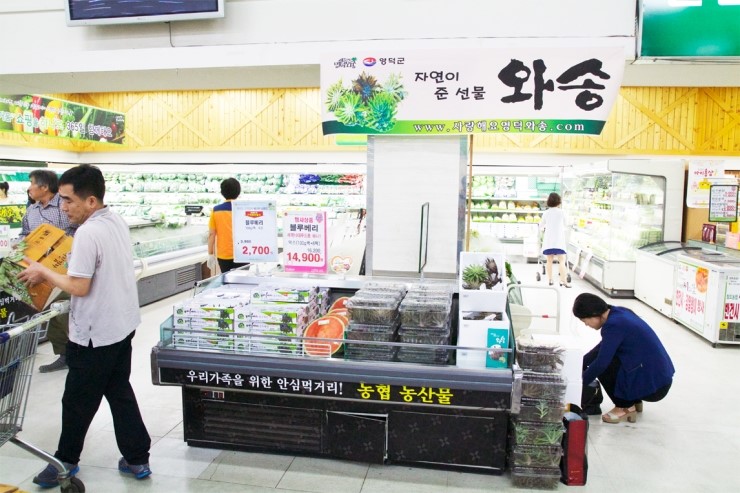 사랑해요영덕와송 이미지