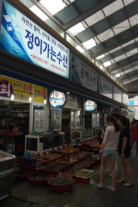 정이수산 이미지