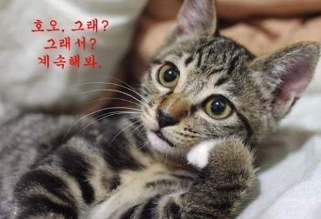 가자2 이미지