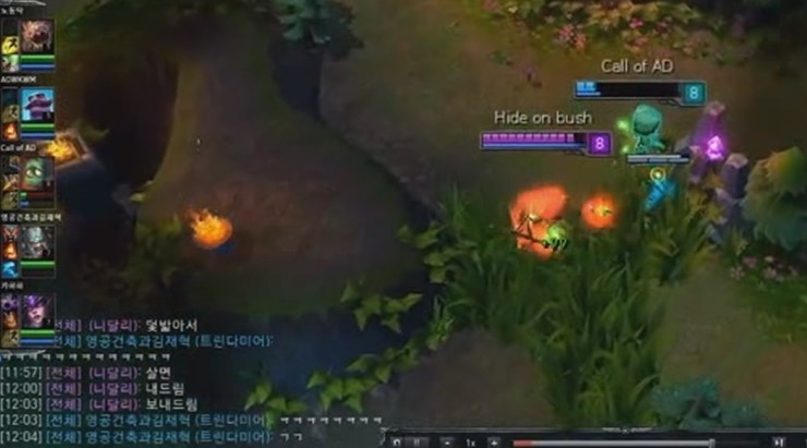 피그무무 이미지