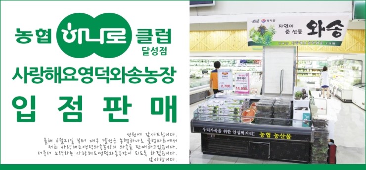 사랑해요영덕와송 이미지