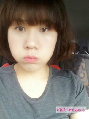 국수나무효자 이미지