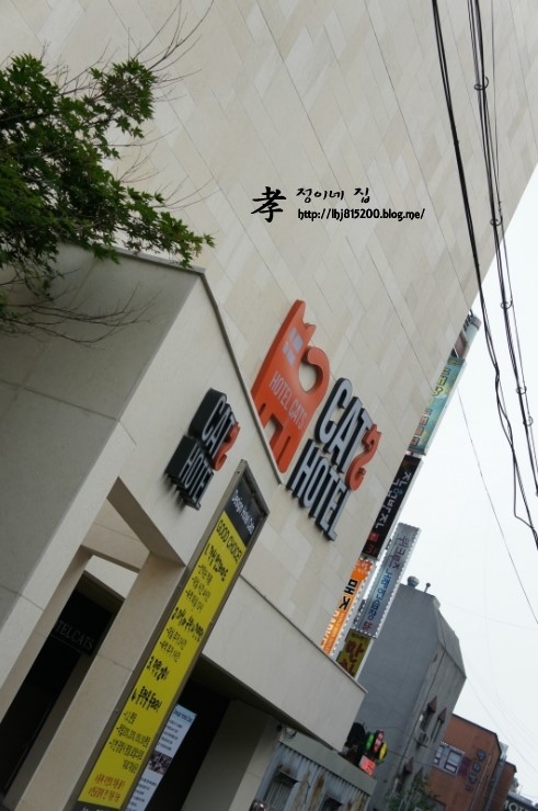 캣츠모텔 이미지