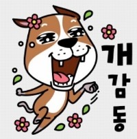 최은희한복 이미지