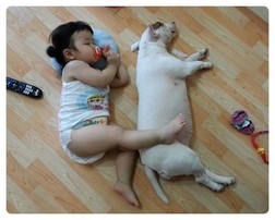 치킨몬스터 이미지