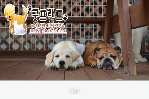 굿프랜드 이미지
