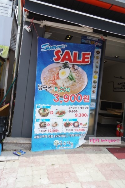국수나무효자 이미지