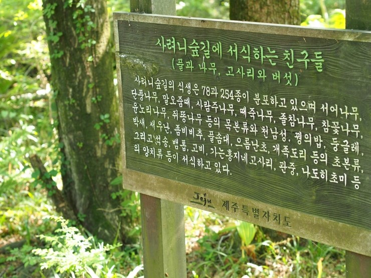 사려니숲길쉐어하우스 이미지